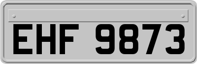 EHF9873