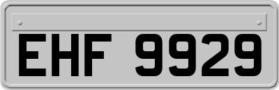EHF9929