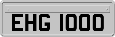 EHG1000