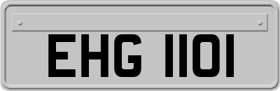 EHG1101