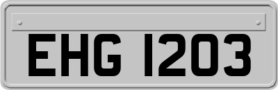 EHG1203