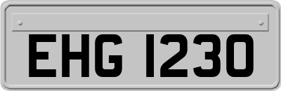 EHG1230