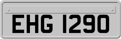 EHG1290