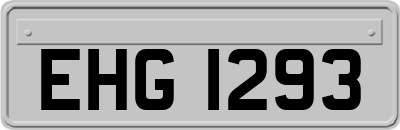 EHG1293