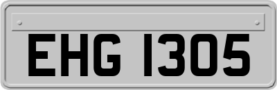 EHG1305
