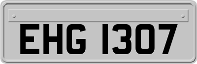 EHG1307