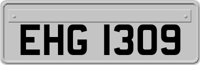 EHG1309