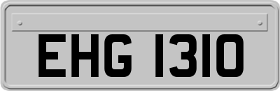 EHG1310