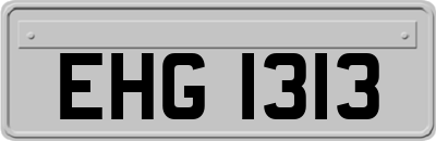 EHG1313