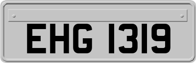 EHG1319
