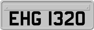EHG1320