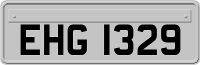 EHG1329