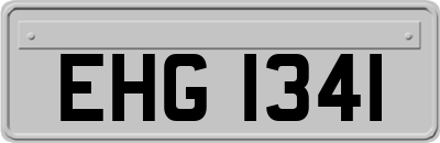 EHG1341