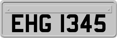 EHG1345