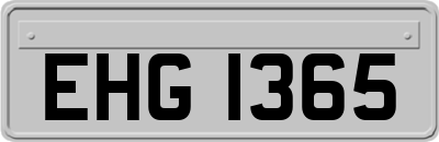 EHG1365