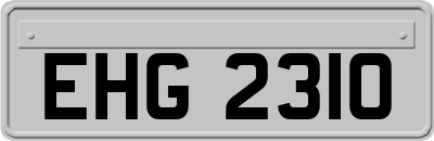 EHG2310