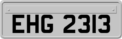 EHG2313