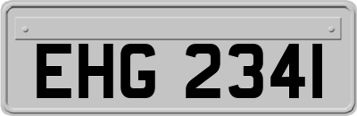 EHG2341