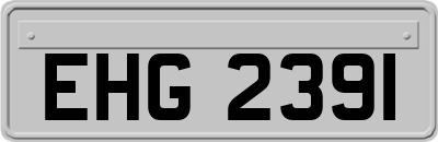 EHG2391