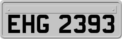 EHG2393
