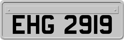 EHG2919