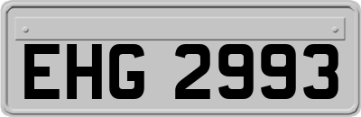 EHG2993