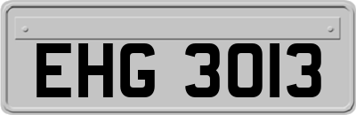 EHG3013