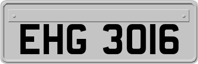EHG3016