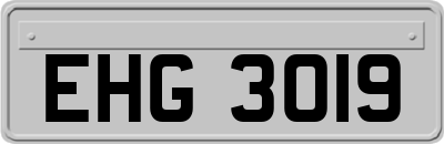 EHG3019