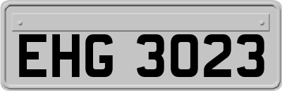EHG3023