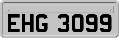 EHG3099
