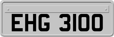 EHG3100