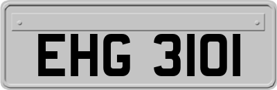 EHG3101
