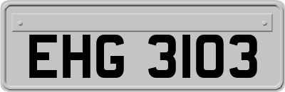 EHG3103