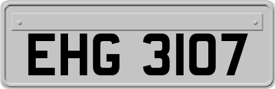 EHG3107