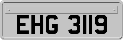 EHG3119