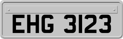 EHG3123