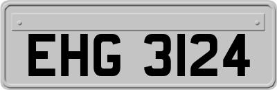 EHG3124