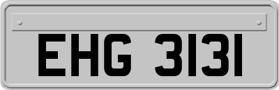 EHG3131
