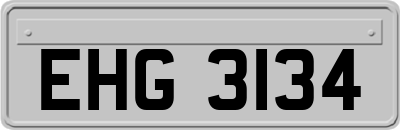EHG3134