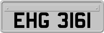 EHG3161