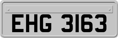 EHG3163