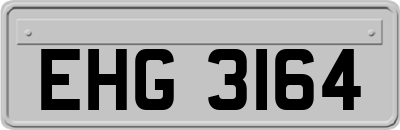 EHG3164