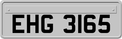 EHG3165