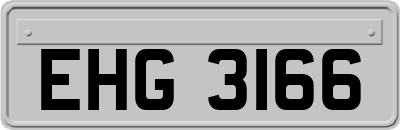 EHG3166