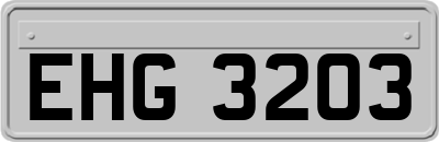 EHG3203