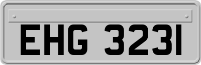 EHG3231