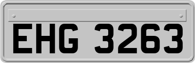 EHG3263
