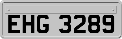 EHG3289