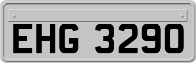 EHG3290